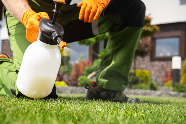 Best Affordable Pest Control Services  in , CT