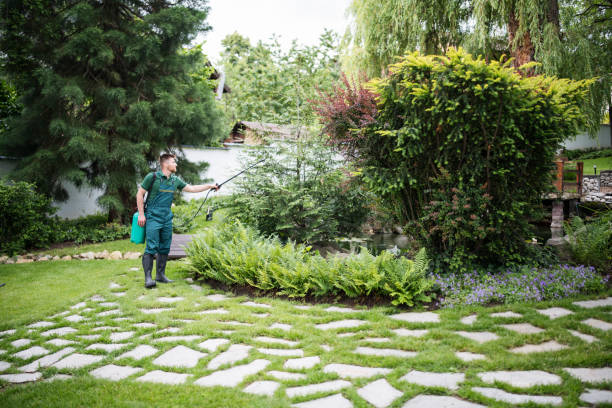 Best Pest Control Treatment  in , CT