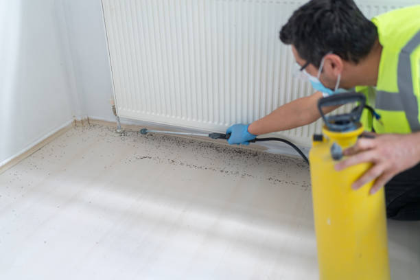 Best Residential Pest Control  in , CT